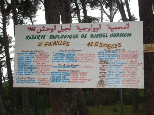 Djebel Ouahch